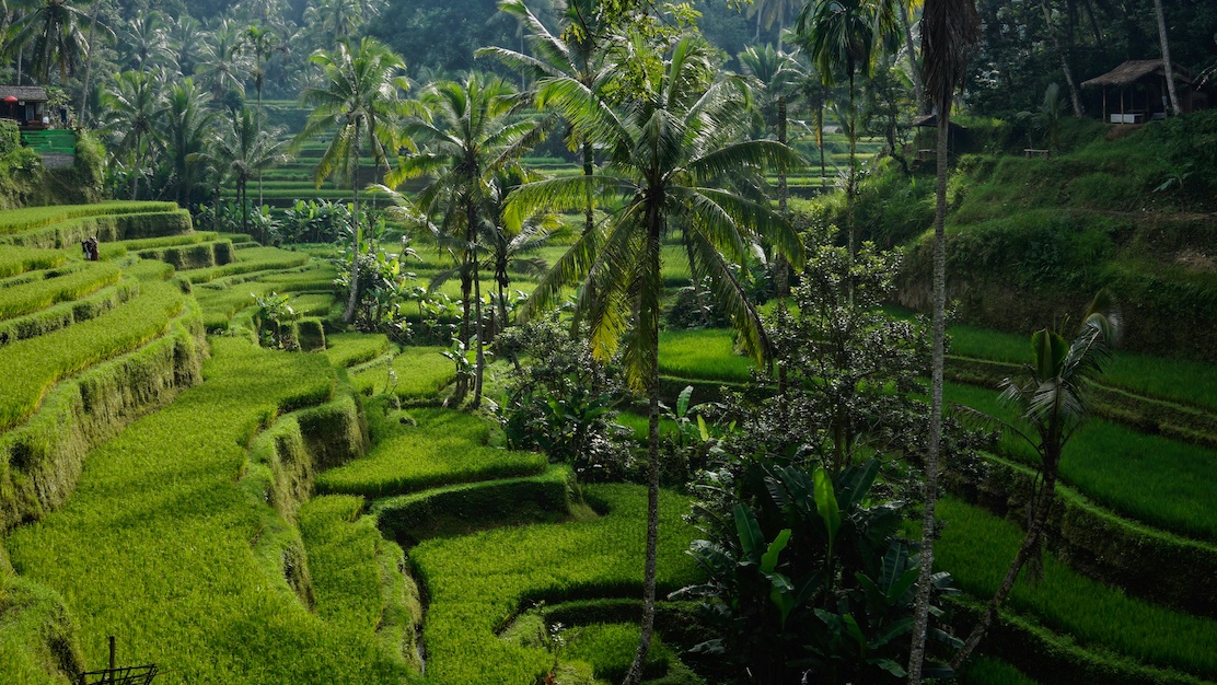Indonezja